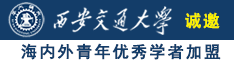 鸡巴操逼av诚邀海内外青年优秀学者加盟西安交通大学